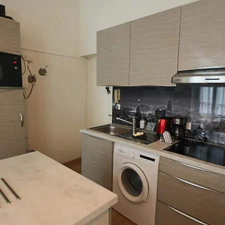 Lumineux Meuble Au Centre-ville Appartement *