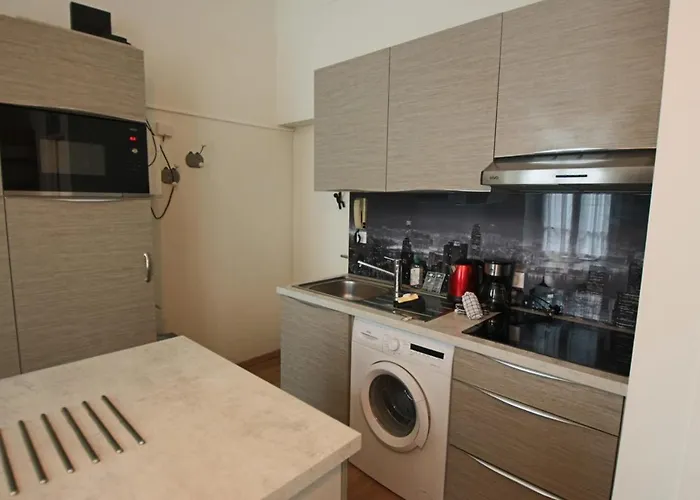 Lumineux Meuble Au Centre-ville Appartement *